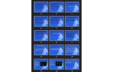 پاورپوینت Autoimmune diseases