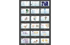 پاورپوینت Hip