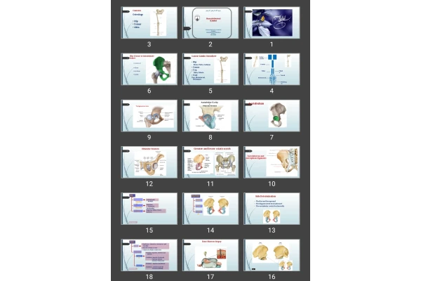 پاورپوینت Hip
