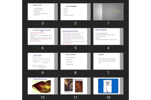 پاورپوینت Hemodynamic II