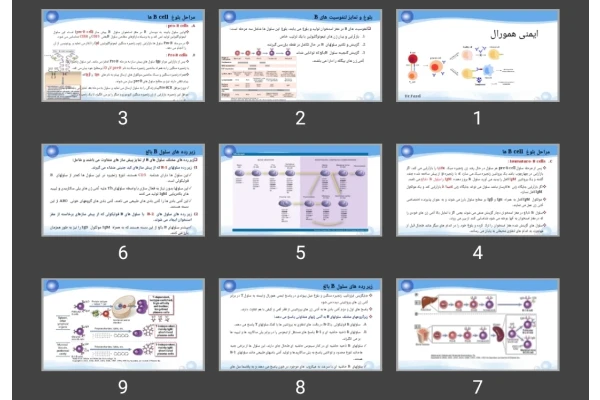 پاورپوینت ایمنی همورال
