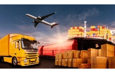 واردکنندگان میوه خشک در امارات