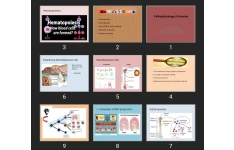 پاورپوینت Pathophysiology of Anemia