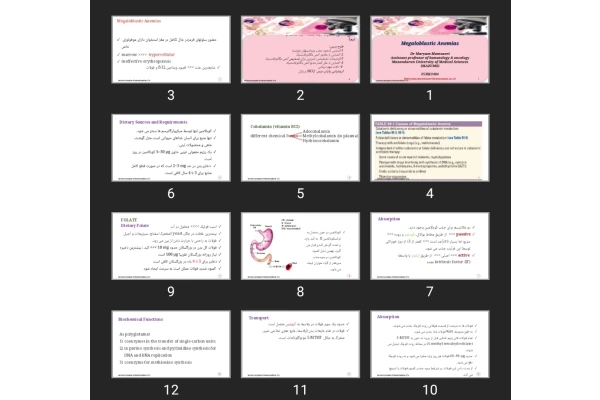 پاورپوینت آنمی مگالوبلاستیک