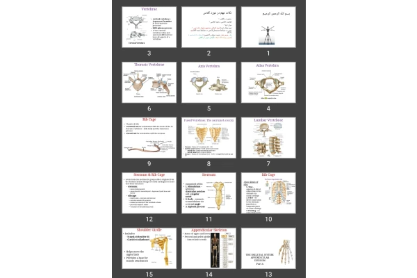 پاورپوینت Skeletal system