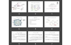 پاورپوینت هورمون های جنسی