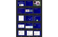 پاورپوینت Mood Disorders