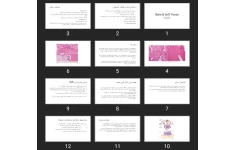 پاورپوینت Bone & Soft Tissue