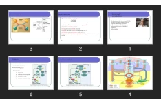 پاورپوینت Bacterial metabolism