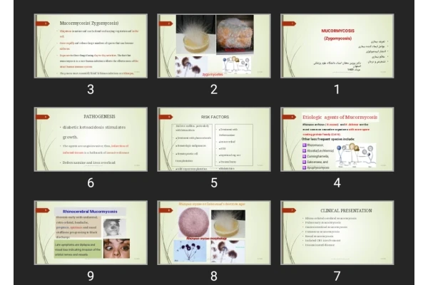 پاورپوینت MUCORMYCOSIS (Zygomycosis)