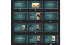 پاورپوینت Wound managment