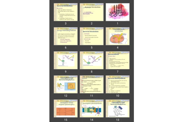 پاورپوینت متابوليسم باکتری Bacterial Metabolism