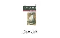 فایل صوتی دیدار در حلب