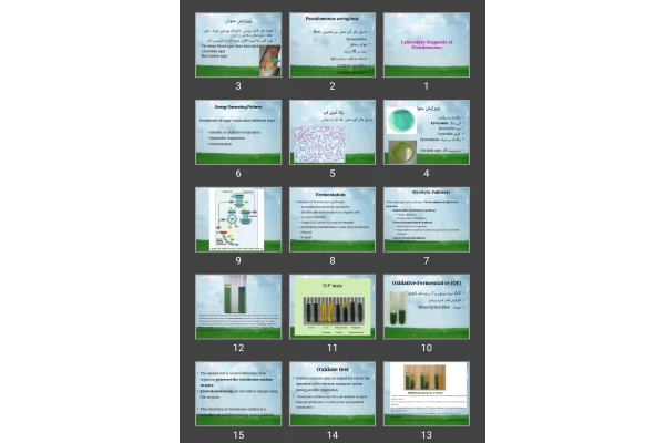 پاورپوینت Laboratory Diagnosis of Pseudomonas