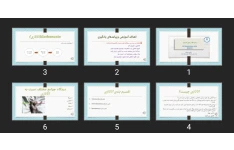 پاورپوینت اتانازی