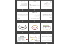 پاورپوینت هورمون های غده پانکراس