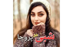 رمان شبی در پروجا / نسخه کامل