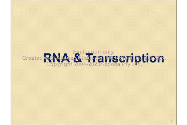 پاورپوینت RNA و Transcription      تعداد اسلاید : 19      نسخه کامل✅