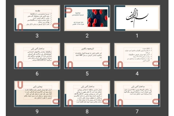 پاورپوینت نیسریا مننژیتیدیس