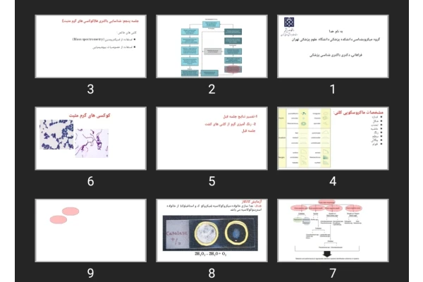 پاورپوینت روش‌های مختلف شمارش باکتری‌ها و کشت انواع استافیلوکوک‌ها