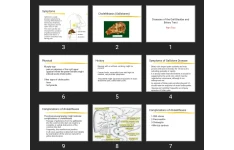 پاورپوینت Diseases of the Gall Bladder and Biliary Tract