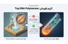 پاورپوینت /PDF تخصصی فصل 16 - اصول بیوتکنولوژی گیاهی -مبحث پرایمر دایمر PCR