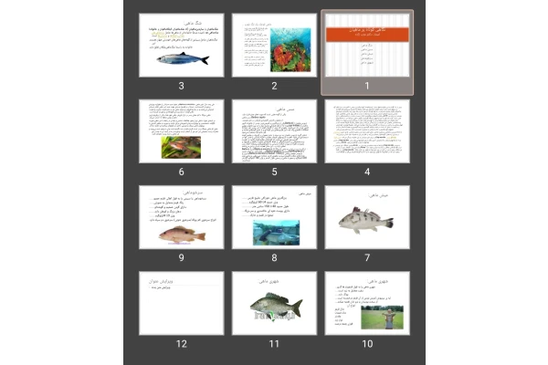 پاورپوینت نگاهی کوتاه بر ماهیان