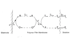 الکترودهای اصلاح شده شیمیایی، Chemically Modified Electrodes