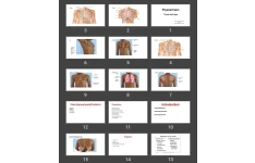 پاورپوینت Physical Exam Thorax and Lungs