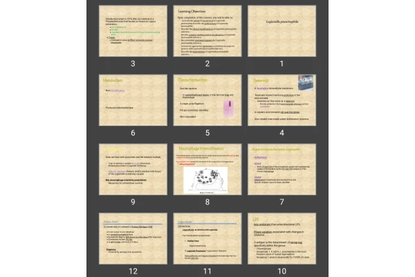 پاورپوینت Legionella