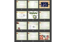 پاورپوینت اسپیروکت ها Spirochetes