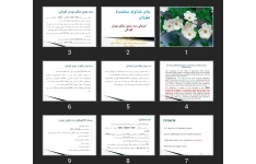 پاورپوینت ارزیابی درد مزمن شکم دوران کودکی