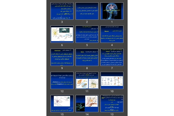 پاورپوینت اساس و مبانی زیست شناختی رفتار