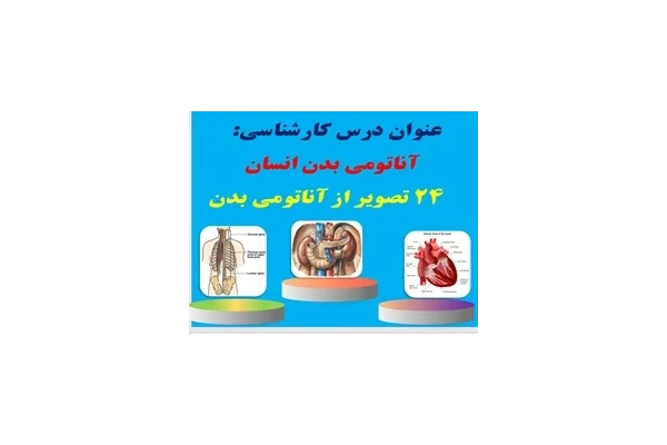 پاورپوینت درس کارشناسی آناتومی بدن انسان 24 تصویر از آناتومی بدن همراه با توضیحات