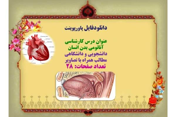 عنوان درس کارشناسی آناتومی بدن انسان دانشجویی و دانشگاهی  مطالب همراه با تصاویر