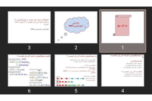 پاورپوینت DNA rearrangement