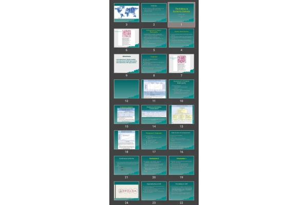 پاورپوینت The Kidney in Systemic Disease