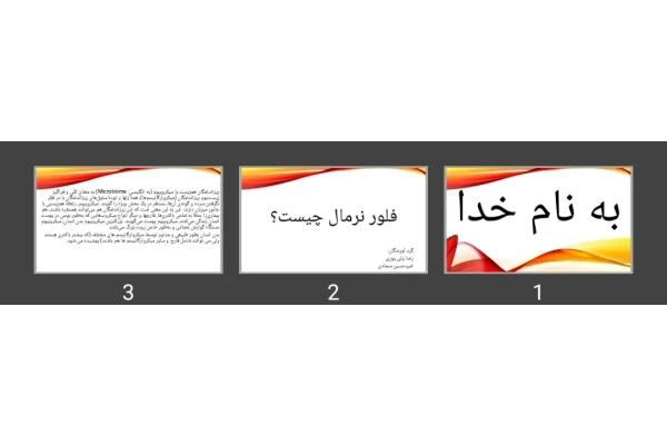 پاورپوینت فلور نرمال