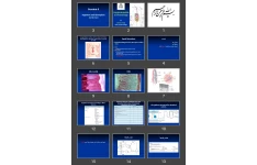 پاورپوینت Gastrointestinal Physiology