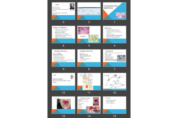 پاورپوینت Corynebacterium diphtheriae