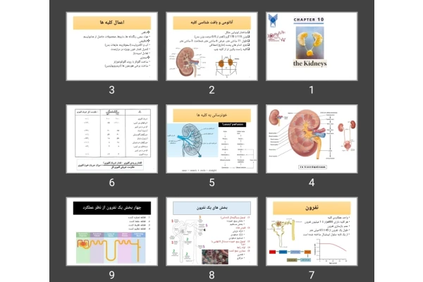 پاورپوینت S-10 Renal