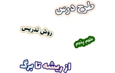 طرح درس و روش تدریس علوم پنجم، درس12 : از ریشه تا برگ