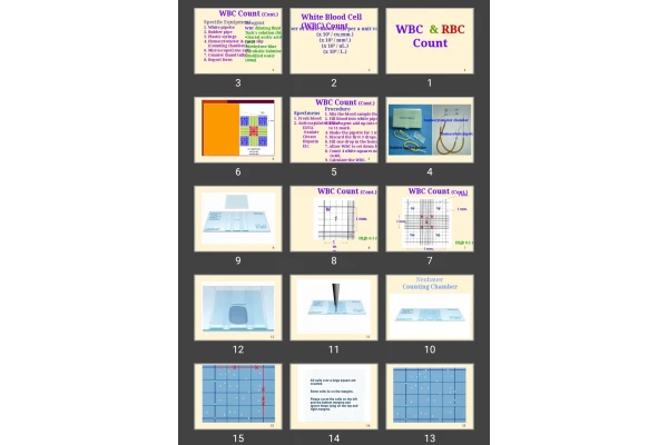 پاورپوینت WBC  & RBC Count