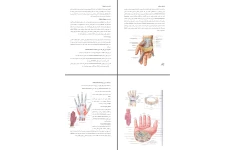 جزوه ناحیه دست Hand