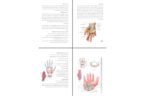 جزوه ناحیه دست Hand