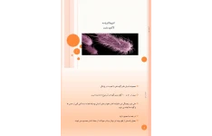 جزوه انتروباکتریاسه لاکتوز مثبت