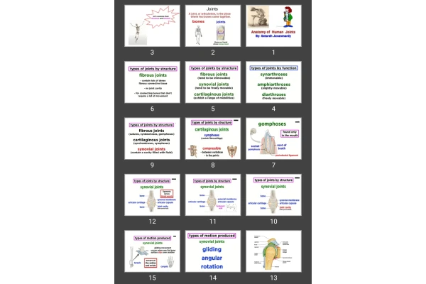 پاورپوینت Anatomy of Human Joints