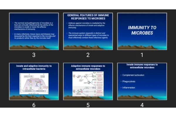 پاورپوینت IMMUNITY TO MICROBES