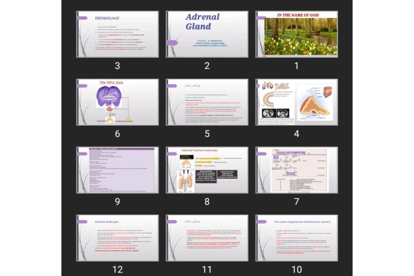 پاورپوینت Adrenal Gland