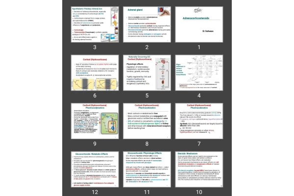 پاورپوینت Adrenocorticosteroids